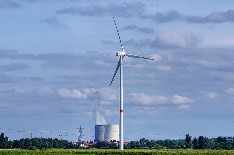 Windmill and plant